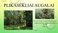 Plikasėkliai augalai pristatymas 1
