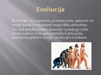 Gyvybės atsiradimas ir evoliucijos raida 2