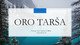 Oro taršos padariniai 