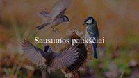 Sausumos paukščiai 1