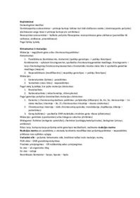 Genetikos pagrindai Genetikos metodai 2