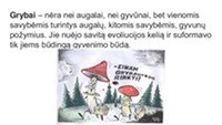 Skaidrės apie grybų karalystę 2