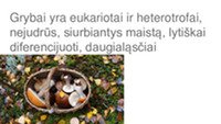 Skaidrės apie grybų karalystę 3