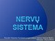 Nervų sistemos sandara, veikla, svarba ir reikšmė žmogaus ir gyvūno organizmams