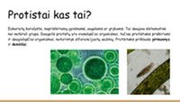 Protistai, jų įvairovė ir reikšmė gamtai bei žmogui 2