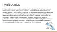 Protistai, jų įvairovė ir reikšmė gamtai bei žmogui 3