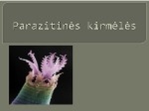 kerek férgeket mutat be a gömbférgek okai