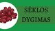 Sėklos dygimas skaidrės