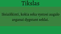 Sėklos dygimas skaidrės 2