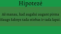 Sėklos dygimas skaidrės 3