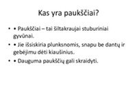 Prezentacija apie paukščių įvairovę, ypatybes ir reikšmę gamtai 2