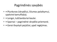 Prezentacija apie paukščių įvairovę, ypatybes ir reikšmę gamtai 3