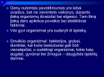 Genetika DNR skaidrės 3