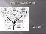 Grybai skaidrės (3) 1