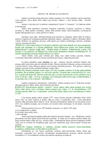 Raumenys 1