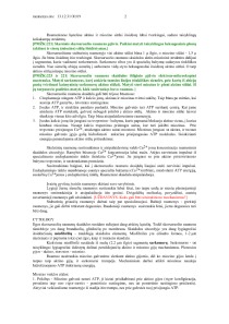Raumenys 2