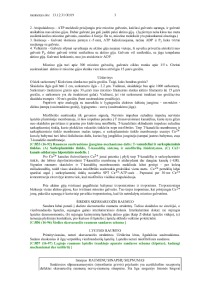 Raumenys 3