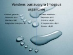 Vandens kiekio reguliavimas žmogaus organizme 3