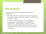 Oro irvandens tarša 3