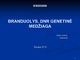 Branduolys. Dnr genetinė medžiaga