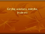 Grybai skaidrės (4) 1