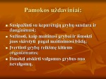 Grybai skaidrės (4) 2