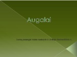 Skaidrės apie augalus 1