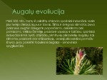 Skaidrės apie augalus 3