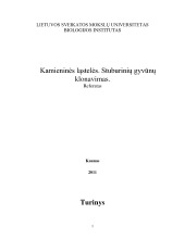 Kamieninės ląstelės. stuburinių gyvūnų klonavimas. 1