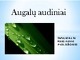 Augalu audiniai skaidrės