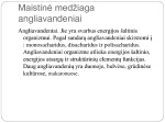 Žmogaus sveikata 3