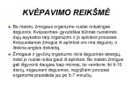 Kvėpavimas skaidrės (2) 3