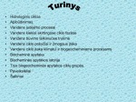 Hidrologinis ciklas 2