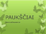 Paukščiai skaidrės (2) 1