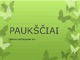 Paukščiai skaidrės (2)