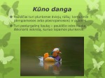 Paukščiai skaidrės (2) 3