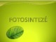 Fotosintezė skaidrės (2)