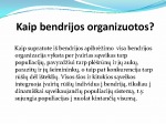 Bendrijos 3