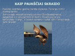 Paukščiai prezentacija 2