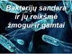 Bakterijų sandara ir jų reikšmė gamtai ir žmogui