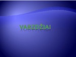 Vabzdžiai prezentacija 1