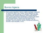 Higiena 3