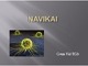 Navikai skaidrės