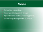 Protistai skaidrės 2