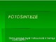 Fotosintezė (2)