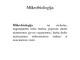 Mikrobiologija skaidrės
