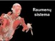 Raumenų sistema