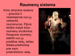 Raumenų sistema 2