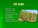 Plikasėkliu įvairovė 3