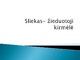 Sliekas žieduotoji kirmėlė
